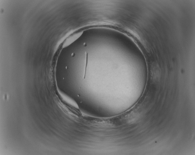 X0000065981460200603061202