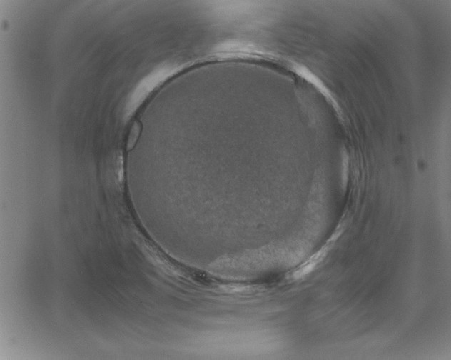 X0000065981461200603061202