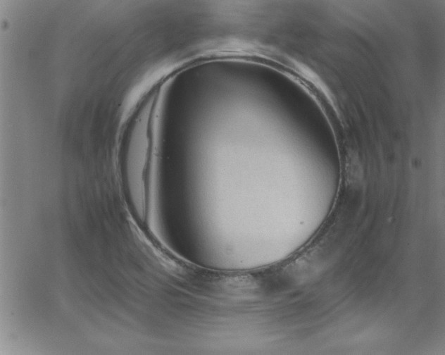 X0000065981464200603061202