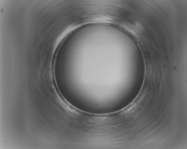 X0000065981470200603061202