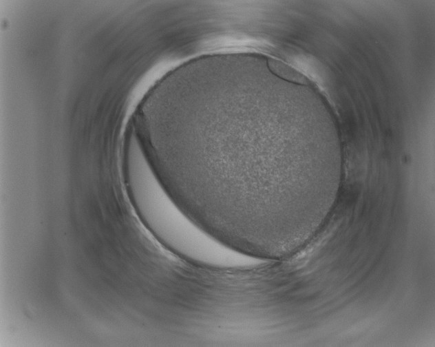 X0000065981472200603061202