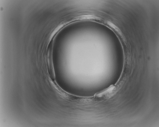 X0000065981473200603061202