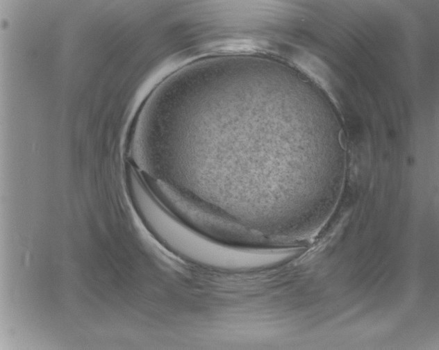 X0000065981475200603061202