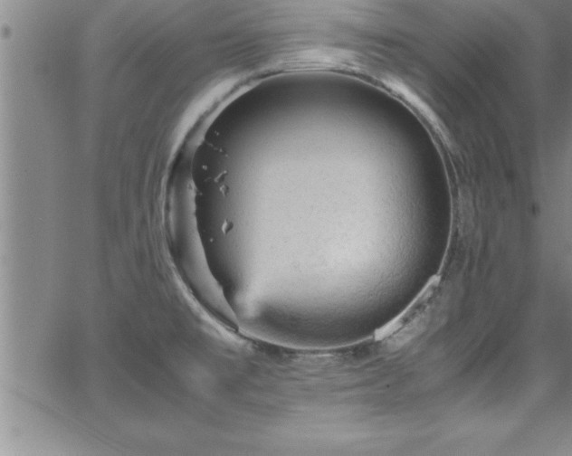 X0000065981477200603061202