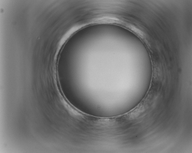 X0000065981478200603061202