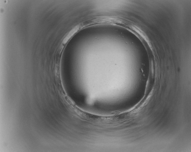 X0000065981481200603061202