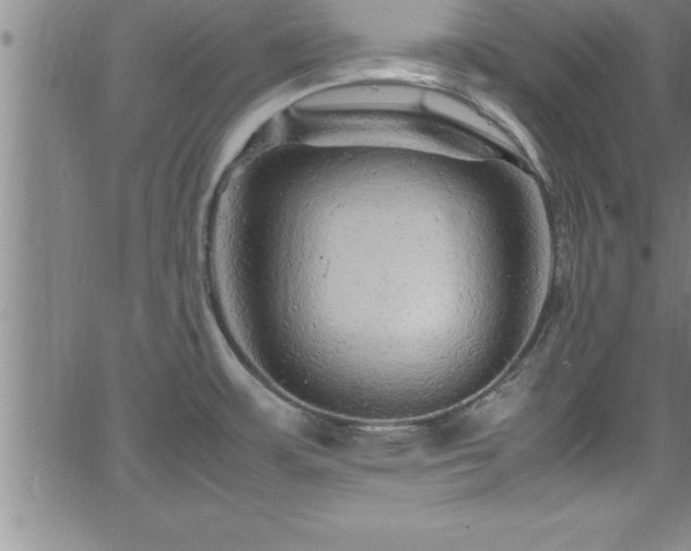 X0000065981483200603061202