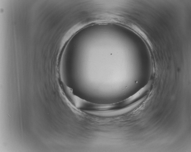 X0000065981485200603061202