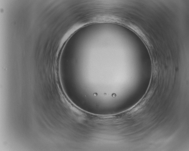 X0000065981486200603061202