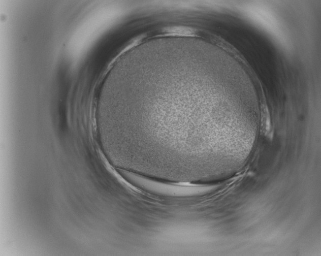 X0000065981487200603061202