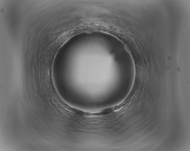 X0000065981489200603061201