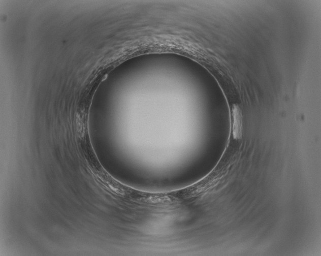 X0000065981491200603061201