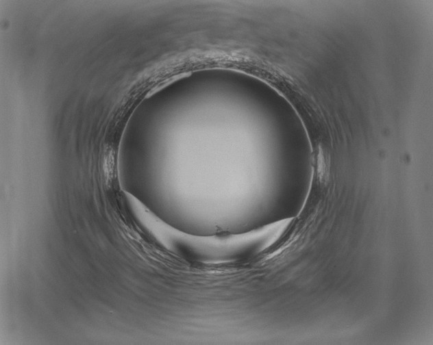 X0000065981492200603061201