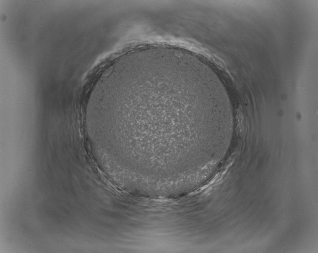 X0000065981494200603061201