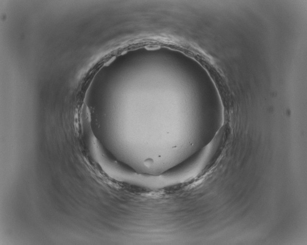 X0000065981496200603061201