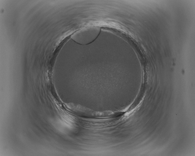 X0000065981497200603061201