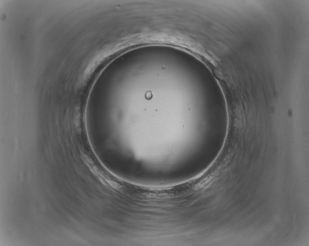 X0000065981499200603061201