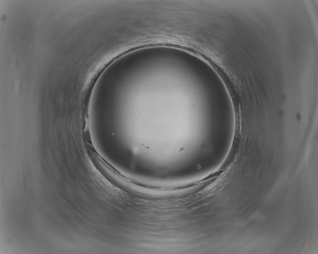 X0000065981500200603061201