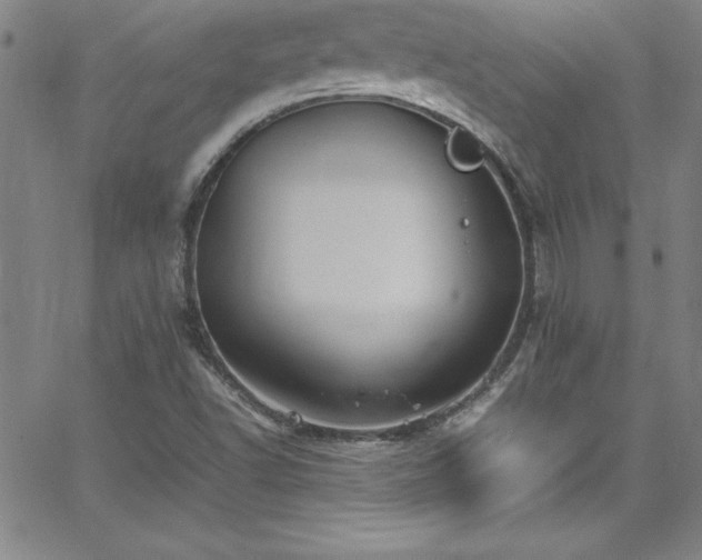 X0000065981502200603061201