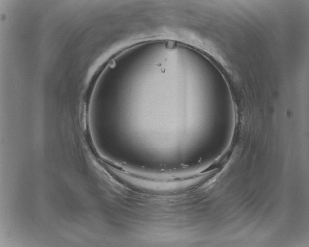 X0000065981510200603061201