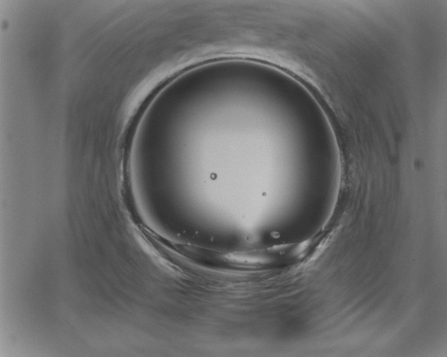 X0000065981511200603061201