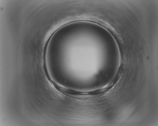 X0000065981512200603061201