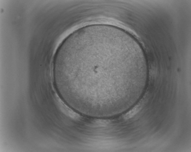 X0000065981514200603061201