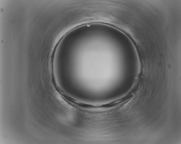 X0000065981516200603061201