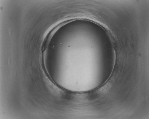 X0000065981518200603061201