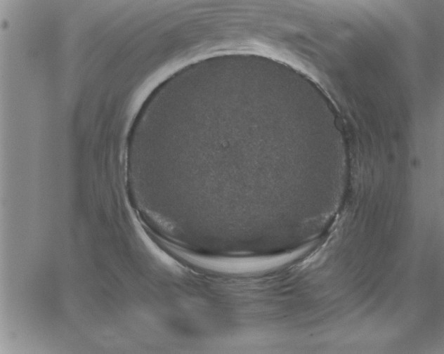 X0000065981519200603061201