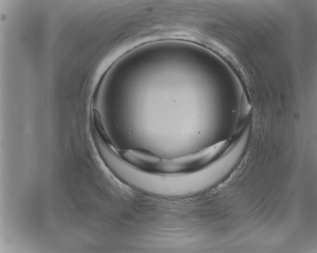 X0000065981520200603061201