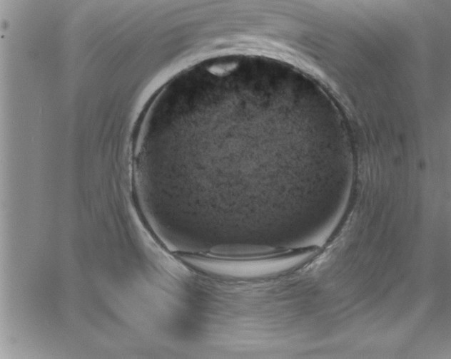 X0000065981522200603061202