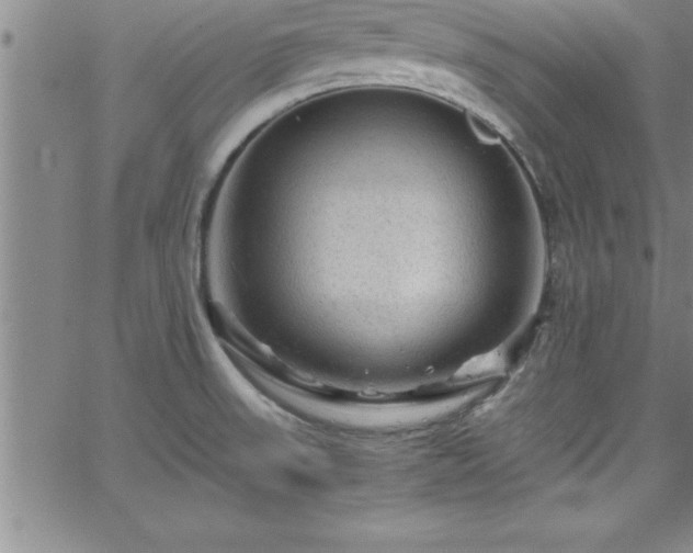 X0000065981523200603061202