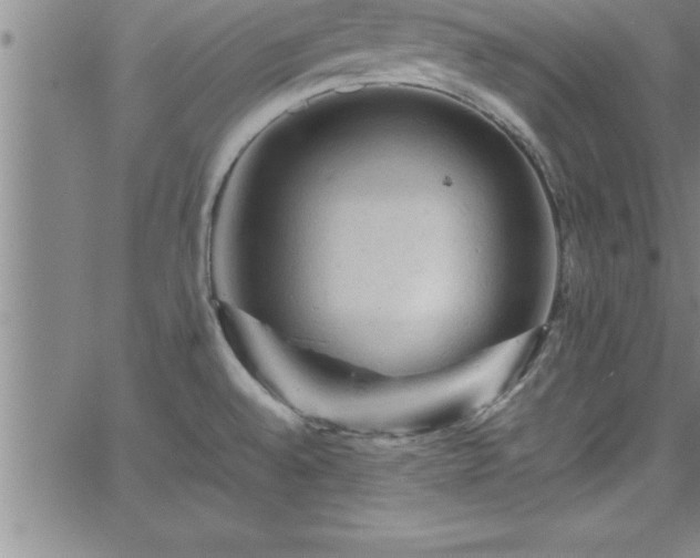 X0000065981528200603061202