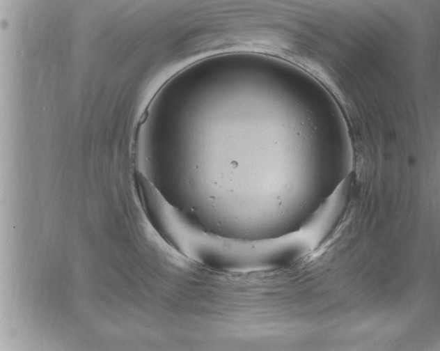 X0000065981532200603061202