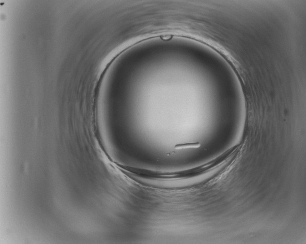 X0000065981534200603061202