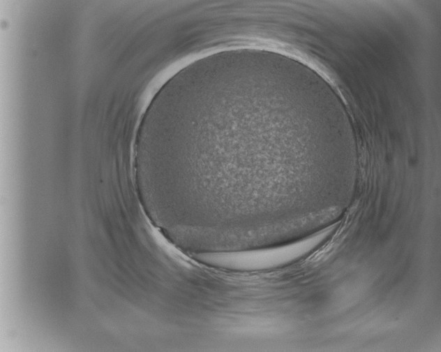 X0000065981535200603061202