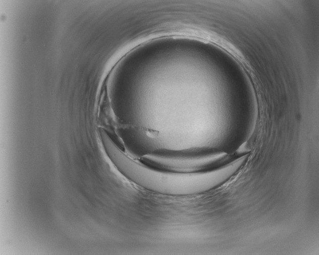 X0000065981536200603061202