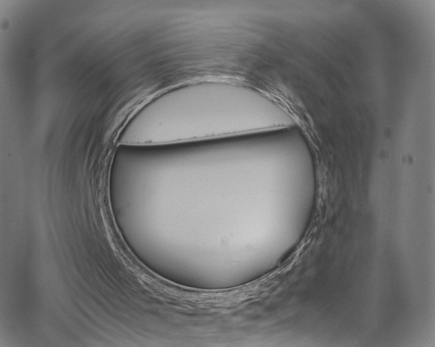 X0000065980001200603101434