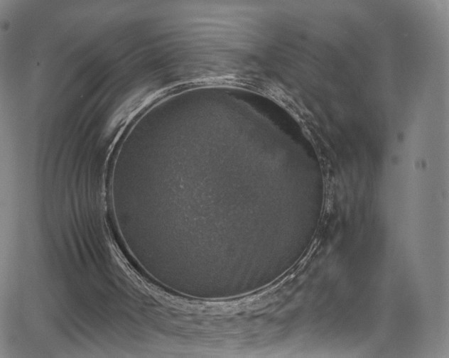 X0000065980002200603101434