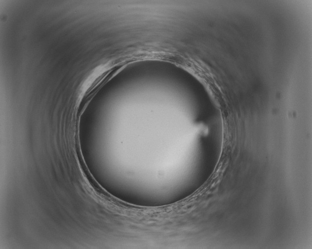 X0000065980003200603101434