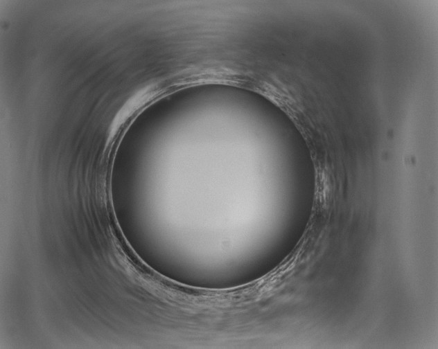 X0000065980004200603101434