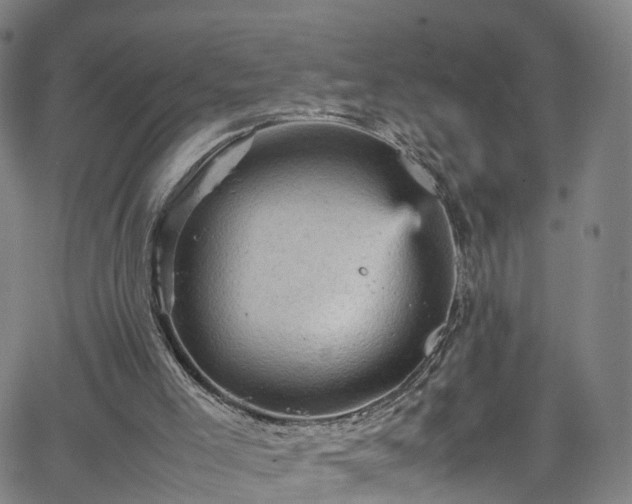 X0000065980005200603101434