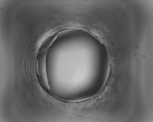 X0000065980007200603101434