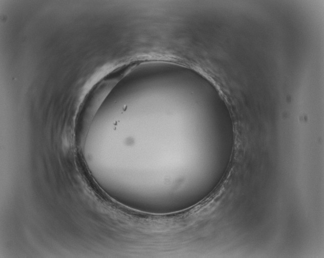 X0000065980008200603101434