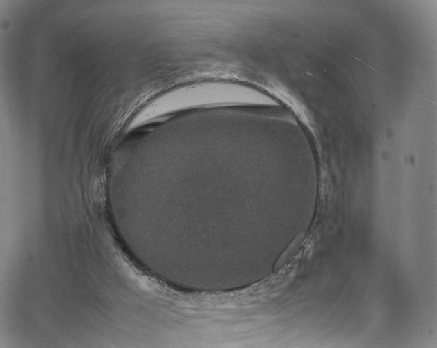 X0000065980009200603101434