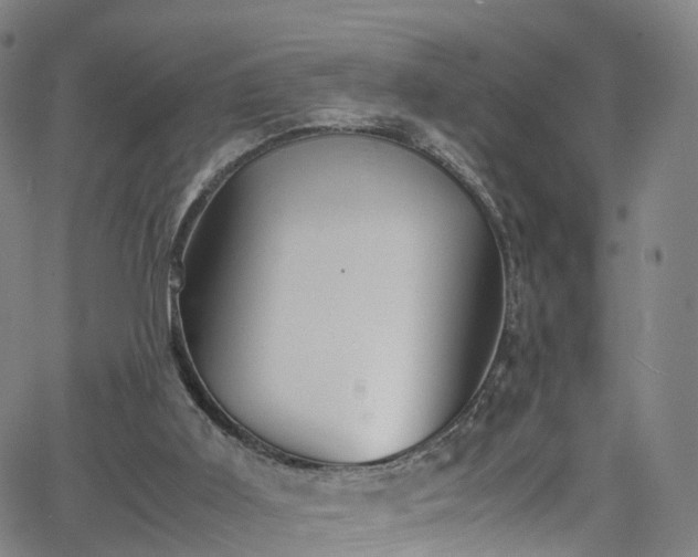 X0000065980011200603101434