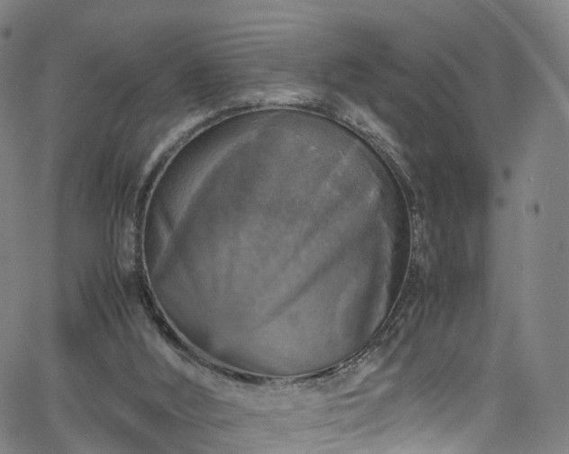 X0000065980012200603101434