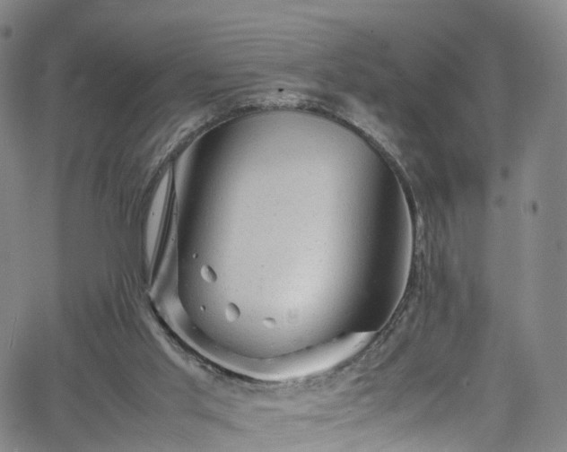 X0000065980013200603101434