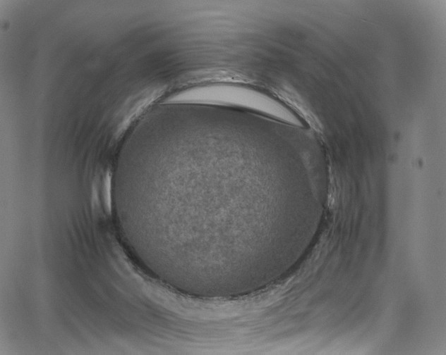 X0000065980014200603101434